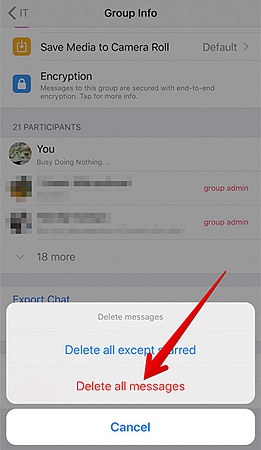 Delete Group WhatsApp Chat