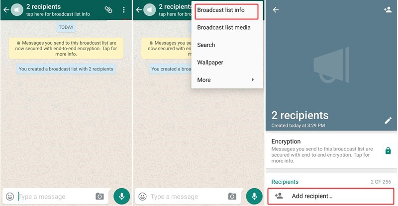 does the whatsapp web app show you as online