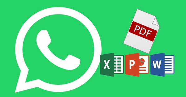 WhatsApp Transfer File