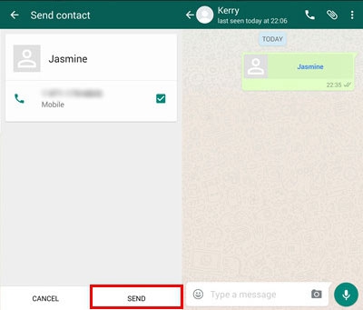 WhatsApp Share Contact 3