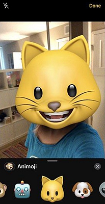 iPhone Facetime Animoji